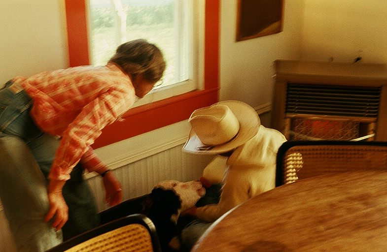 Feeding the calf in the dining room. Ben is holding the bottle, and I am watching.