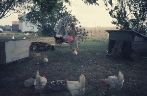 Virginia feeding the chickens