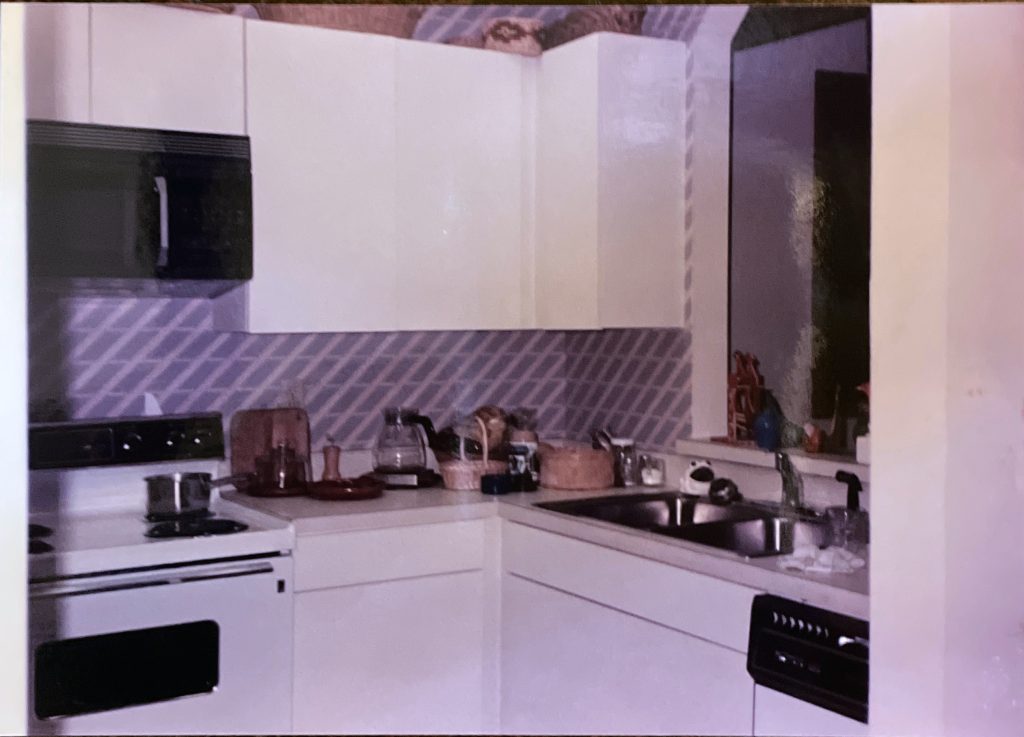 Treaty Oak apartment kitchen