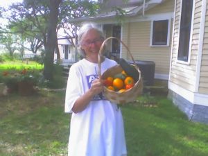I am holding a basket of tomatoes and cucumbers from the garden.