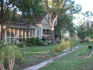 Heimsath Farm - the garden with main house screen porch, kitchen door, and kitchen windows visible. Our bedroom window is above the kitchen. You see the guest house on the right behind the trees. The tomatoes in the garden have plastic milk bottle protectors.