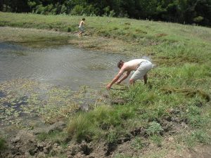 John is pulling the net out of the pond.