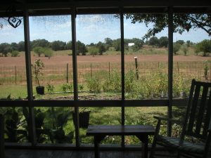 Heimsath Farm - 2009 - from the screen porch looking out to the garden