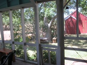 Looking at the smoke house from the screen porch