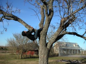 Ruben climbing in the tree