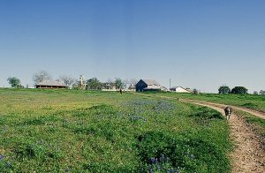 Heimsath Farm view from driveway