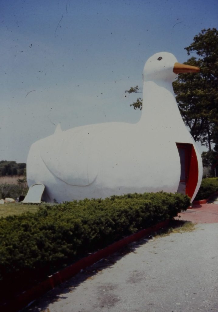When we visited my parents on Long Island we always visited the Big Duck.